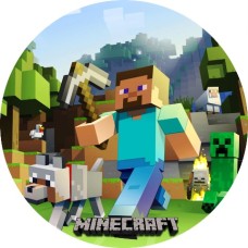 RMineC77 Disc vafa Minecraft d20cm